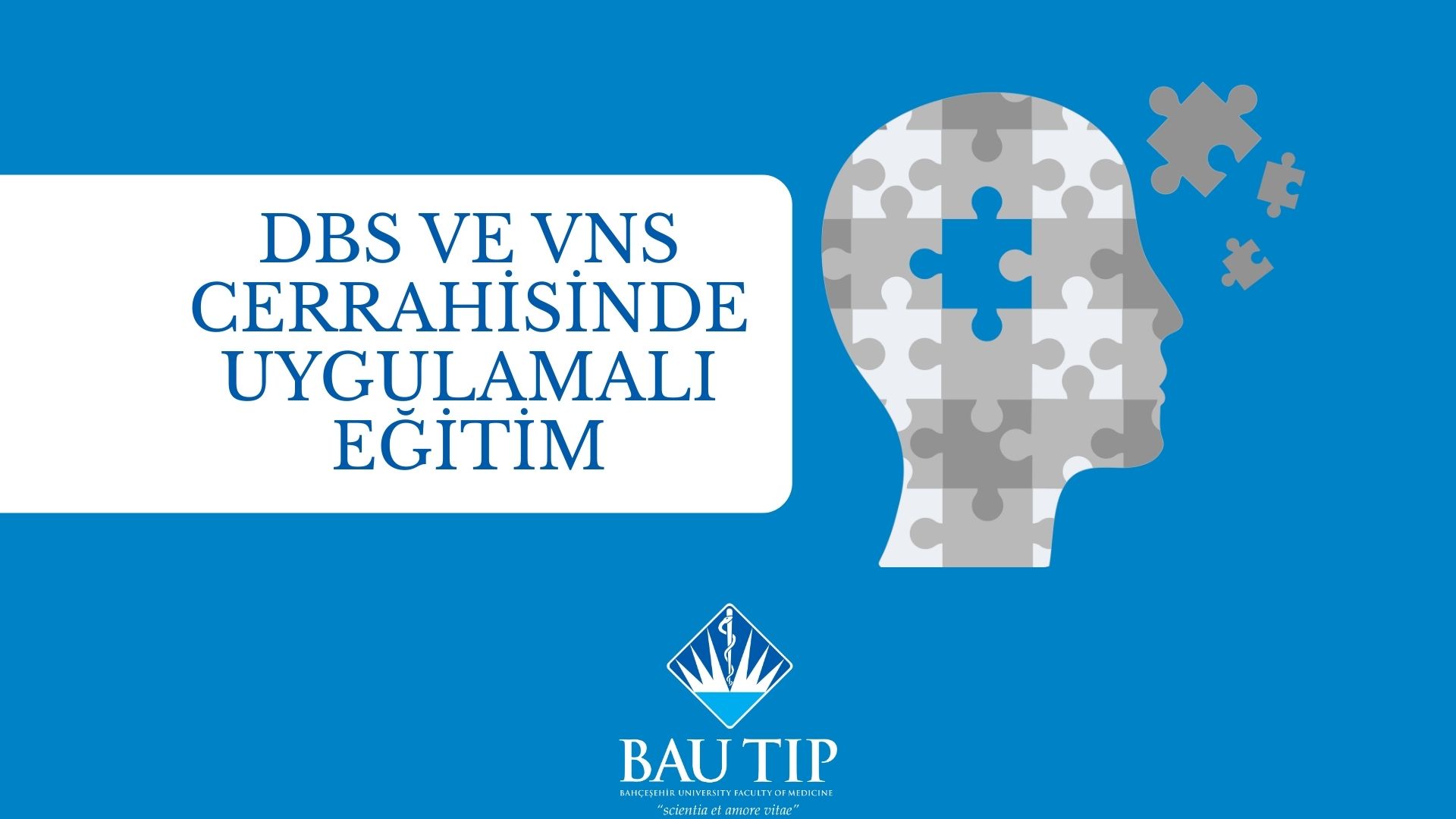 Tıp Fakültesi Ev Sahipliğinde, Rhoton Laboratuvarı’nda DBS ve VNS Cerrahisinde Uygulamalı Eğitim Kursu
